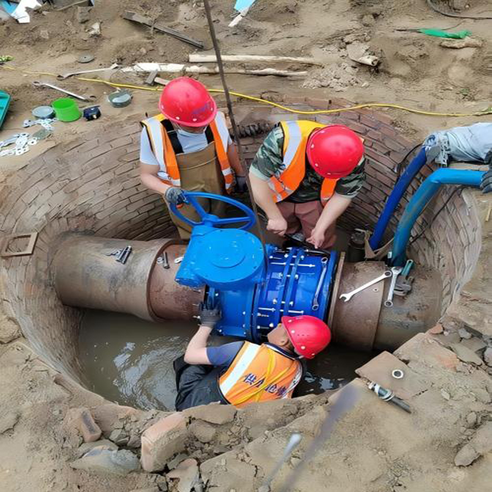 青岛某生物制药项目施工现场召集各方一起解决技术问题